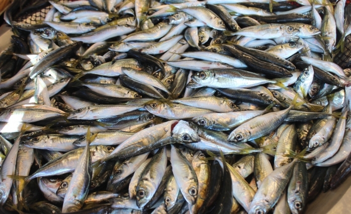 Korona virüs sürecinde sağlıklı beslenme balık tüketimi önerisi