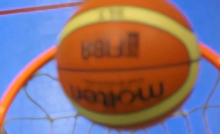 Basketbol Süper Lig: Anadolu Efes: 91 - Bursaspor: 58