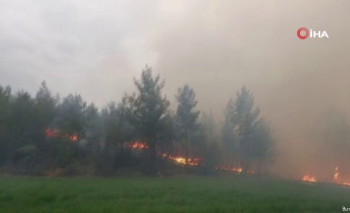 Muğla’daki orman yangınlarını söndürme çalışmaları sürüyor