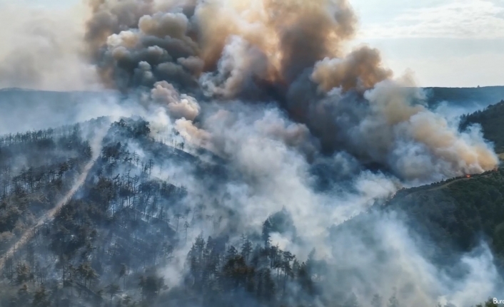 Çanakkale’de geçtiğimiz yıl 123 yangın çıktı, bin hektar alan yandı