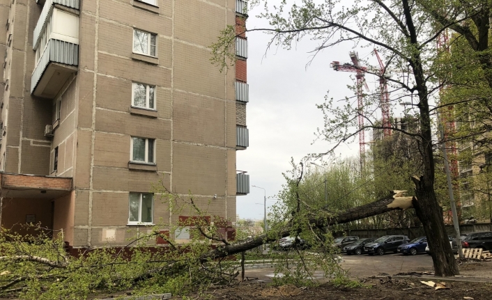 Moskova’da şiddetli rüzgar 56 ağacı devirdi: 2 yaralı