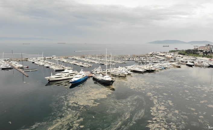 Pendik Marinada denizi kaplayan deniz salyaları havadan görüntülendi