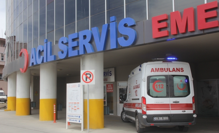 Yaz mevsimiyle birlikte Erzincan’da 7 kişi kene ısırması sonucu hastanelik oldu