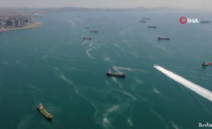 İstanbul sahillerinde kilometrelerce müsilaj hattı oluştu