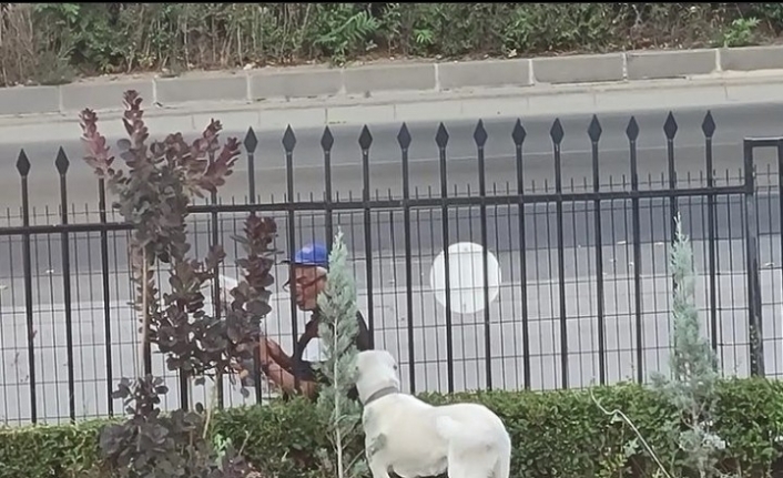 Bakan Selçuk sosyal medya hesabında köpeğe gazete okuyan vatandaşı paylaştı