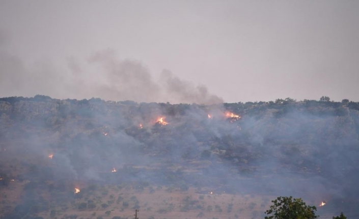 Gaziantep’te çıkan orman yangını kontrol altına alındı