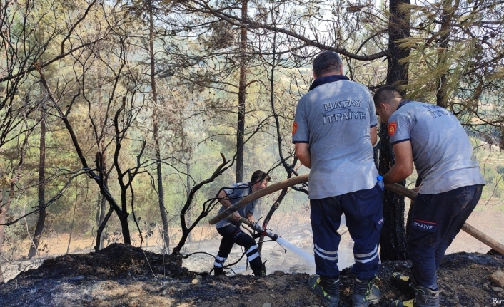 Hatay’da ormanlık alanın yakınında çıkan bahçe yangını kontrol altına alındı
