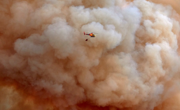 İspanya’da korkutan orman yangını