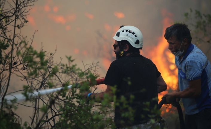 İstanbul Üniversitesi-Cerrahpaşa orman yangınları hakkındaki ön değerlendirme raporunu açıkladı