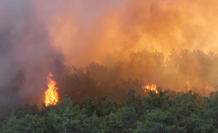 Manavgat’ta orman yangını devam ediyor, metrelerce yükselen alevler böyle görüntülendi
