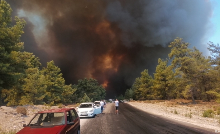 Tarım ve Orman Bakanı Pakdemirli, Antalya’daki yangın bölgesine geliyor