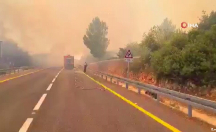 Kudüs’te ormanda büyük yangın