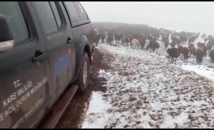 Allahuekber Dağları’nda kar ve tipide mahsur kalan iki çoban kurtarıldı