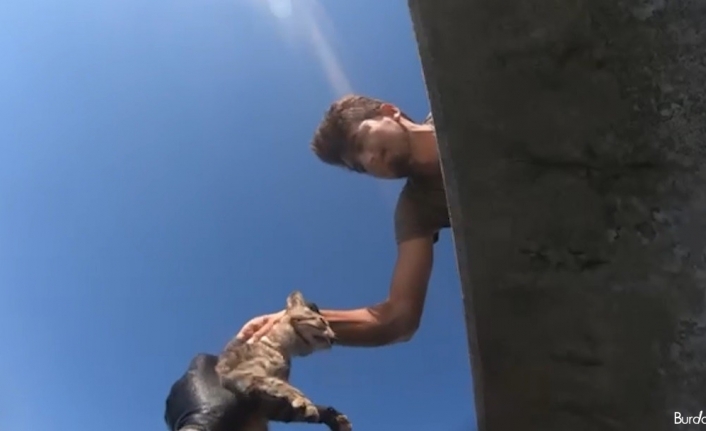 İskelede mahsur kalan kediyi Sahil Güvenlik ekipleri kurtardı