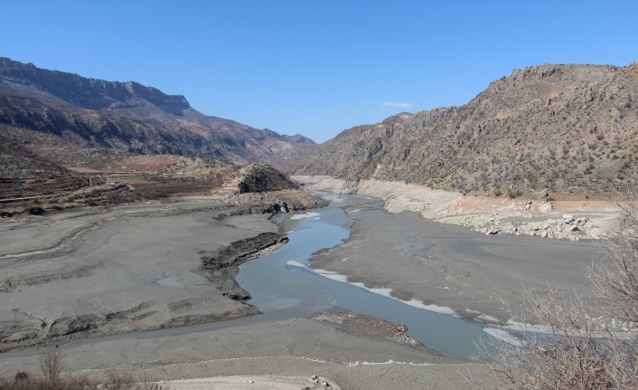 Siirt’te barajlardaki su seviyesi düştü, tahıl ürünlerinde rekolte kaybı yaşandı