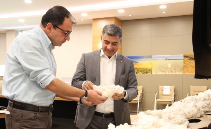 Diyarbakır Ticaret Borsası’nda online pamuk alım satımı