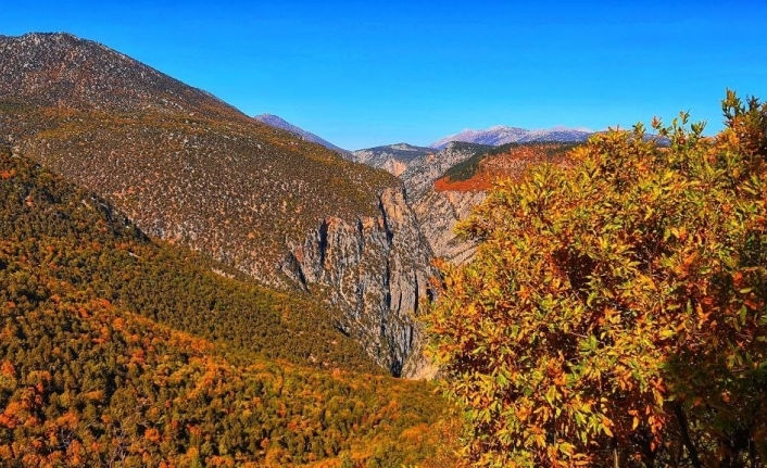 Hançer Kanyonunda sonbahar şöleni