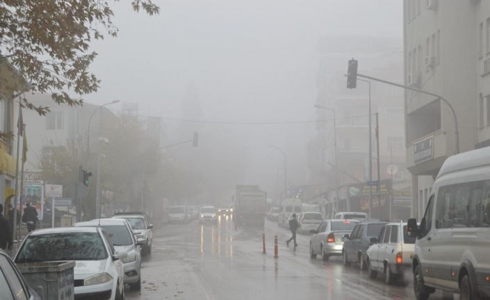 Besni’de yoğun sis etkili oldu