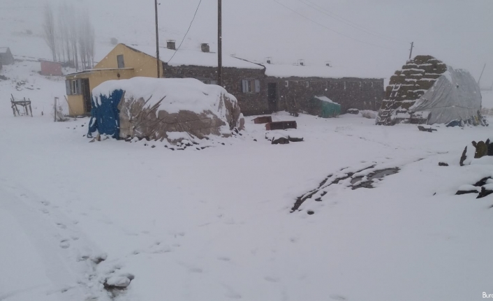 Tuzluca’da kar yağışı etkili oluyor