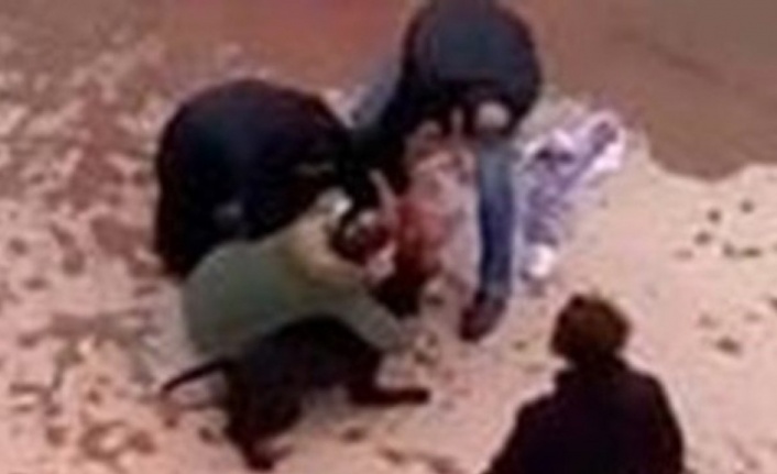 Minik Asiye’ye pitbull saldırısında tahliye edilen 3 sanık tekrar tutuklandı