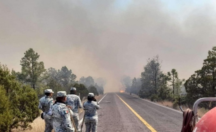 Meksika’da sıcak hava orman yangınlarını artırdı