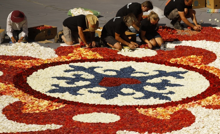 Belçika’nın geleneksel "çiçek halısı" 4 yıl sonra yeniden döşendi
