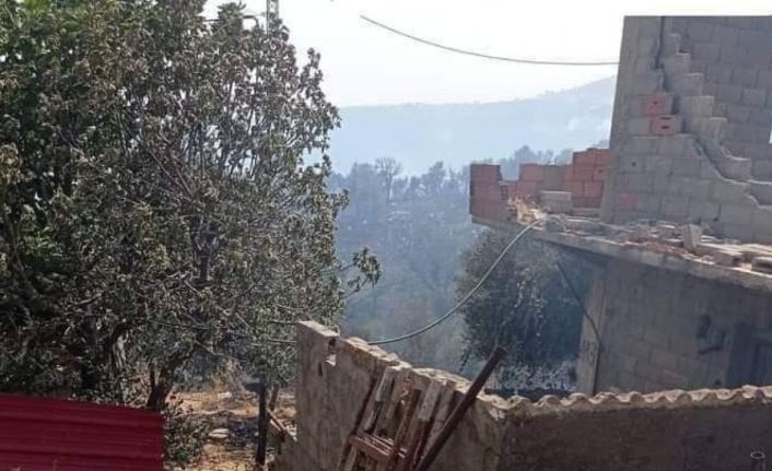 Cezayir’de 26 noktada orman yangını: 2 ölü, 42 yaralı