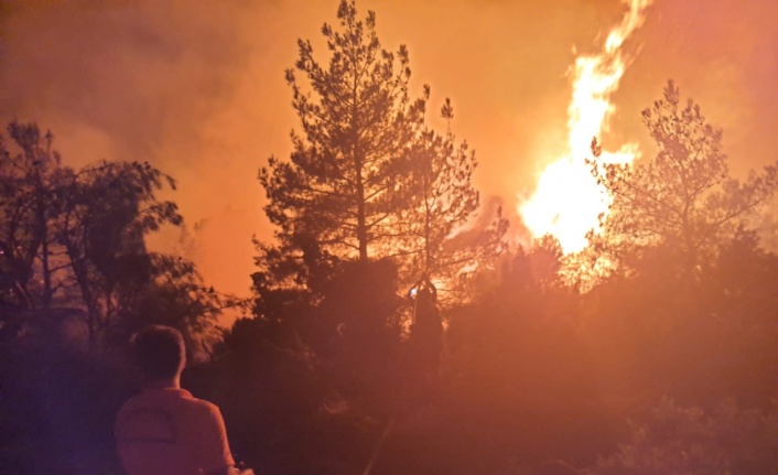 Soma’daki orman yangınında 50 hektarlık alan zarar gördü
