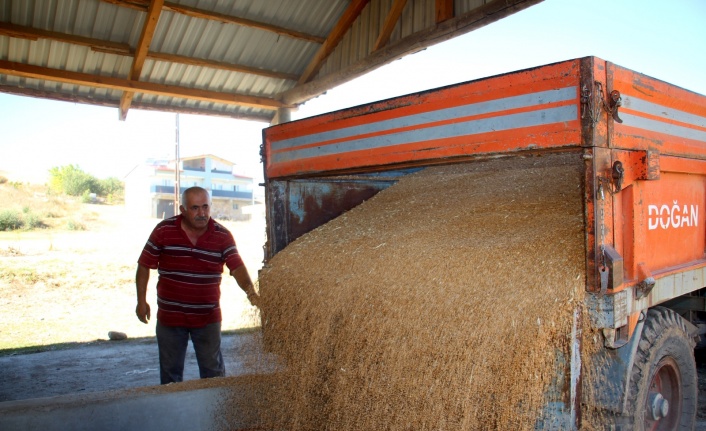 Buğday üretiminde rekor kırılan Sivas’ta yeni sezona hazırlık başladı
