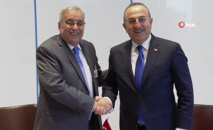 Dışişleri Bakanı Çavuşoğlu, Lübnan Dışişleri Bakanı Habib ile görüştü