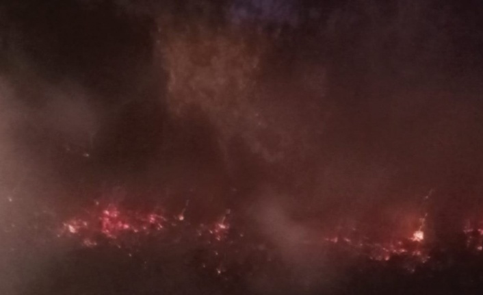 Milli Park’ta orman yangını çıktı, facia ucuz atlatıldı