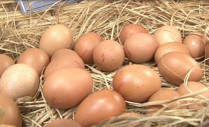 Yumurtada fiyatlar haftalık değişiyor
