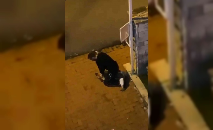 Sarıyer’de köpeği boğmaya çalışan şüpheli tutuklandı