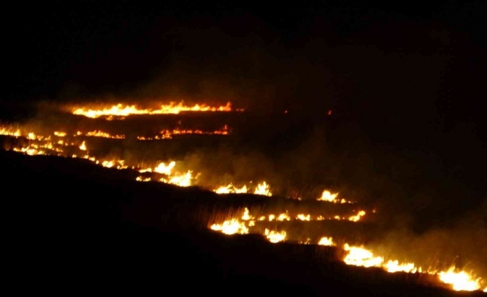 Yüksekova’nın kuş cenneti 4 gündür alev alev yanıyor