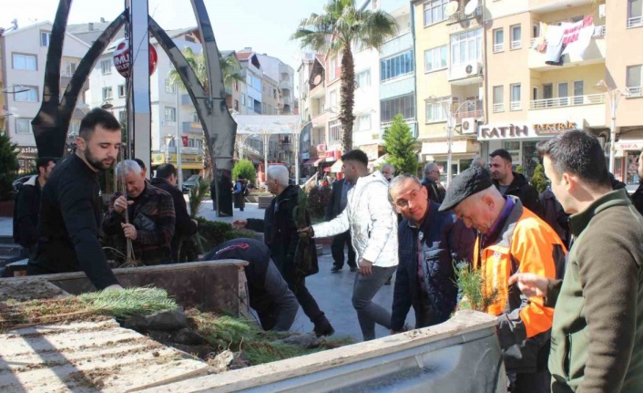 Türkeli’de vatandaşlara 6 bin fidan dağıtıldı