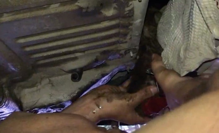 Otomobile giren yavru kediyi turizm çalışanları kurtardı