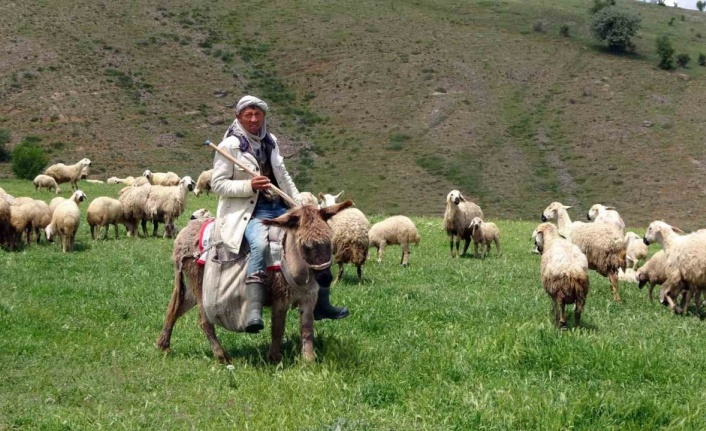 Yozgat’ta 16 bin lira maaşlı iş, Türkler beğenmeyince Afganlara kaldı