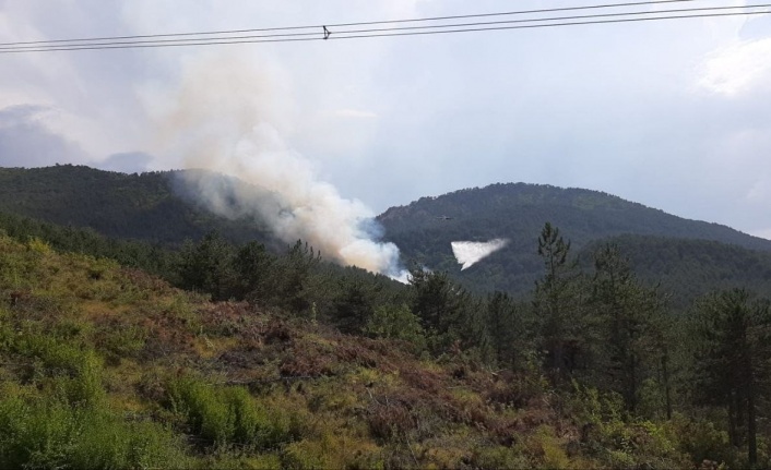 Bolu’da orman yangını başladı