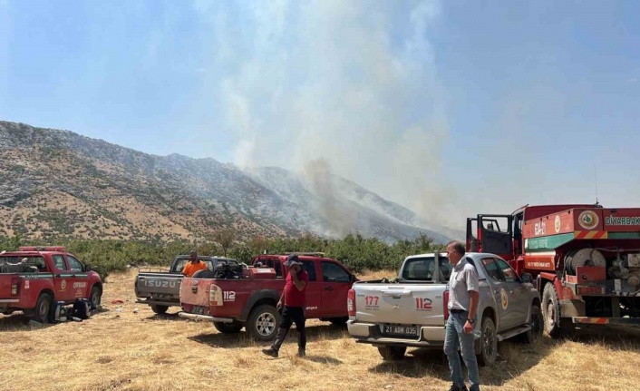 Diyarbakır’da orman yangını: Havadan ve karadan müdahale sürüyor