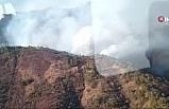 Meksika’daki orman yangınında 2 itfaiyeci öldü