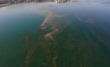 Van Gölü’nde korkutan kirlilik
