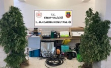 Sinop’ta uyuşturucu tacirlerine operasyon