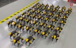 Çin’de geliştirilen evcil robot hayvanlara ilgi artıyor
