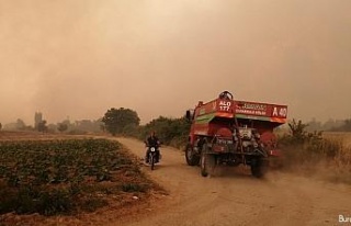 Çanakkale’deki orman yangını yaşanan Yalova...