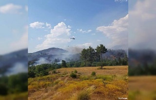 Denizli’de orman yangını 3 helikopterle kontrol...