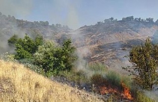 Elazığ’da 2 gün süren orman yangını söndürüldü