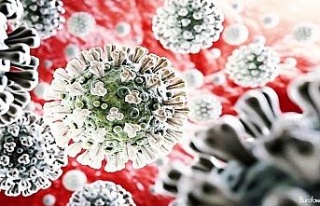 İran’da korona virüs kaynaklı rekor ölüm