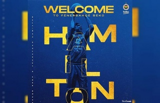 Johnathan Hamilton, Fenerbahçe’de