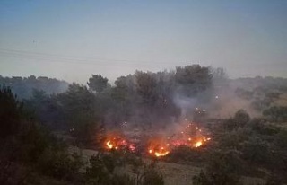 Soma’da orman yangını: 1 uçak, 5 helikopter havadan...