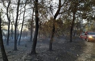 Soma’daki orman yangını kontrol altına alındı